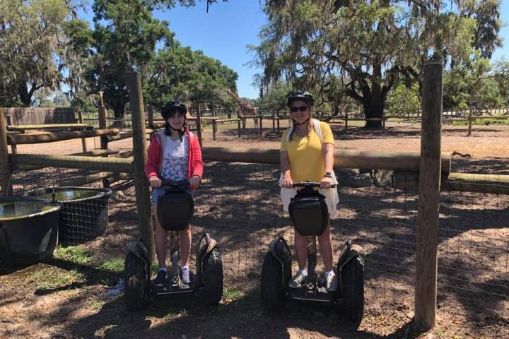 a group of people sitting at a park
