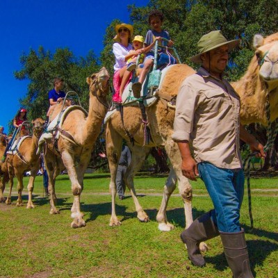 a group of people riding on the back of a horse