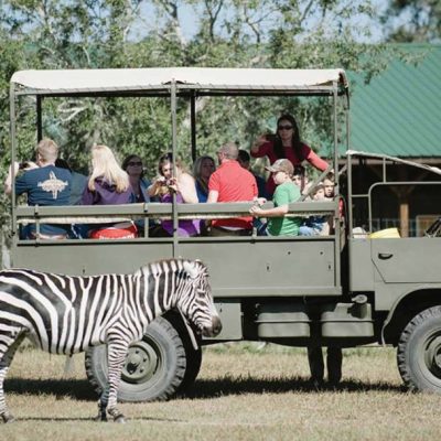 a group of people riding on the back of a truck