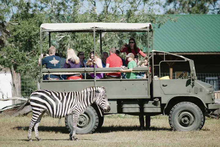 a group of people riding on the back of a truck
