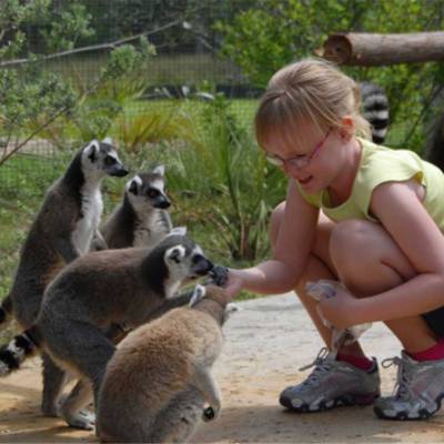 a person holding a baby in a zoo exhibit