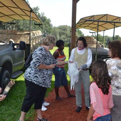 a group of people that are standing in the grass