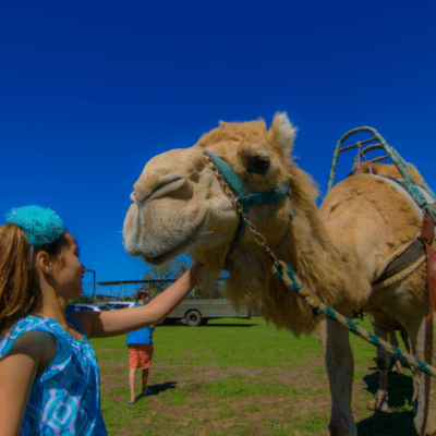 a person standing next to a horse