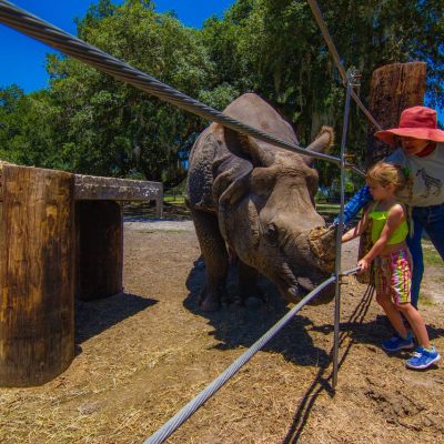a person holding a baby in a park