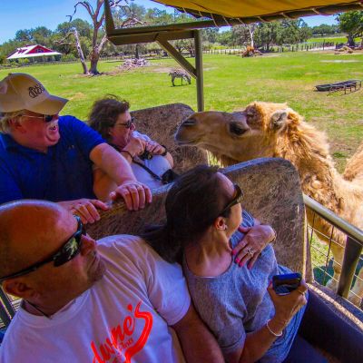 a group of people sitting at a zoo