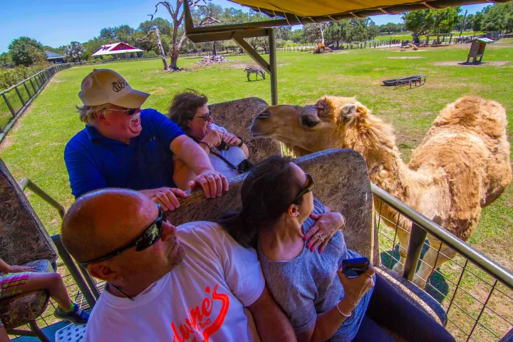 a group of people sitting at a zoo