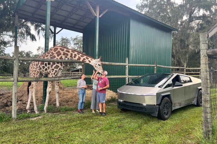 a group of people standing in a yard